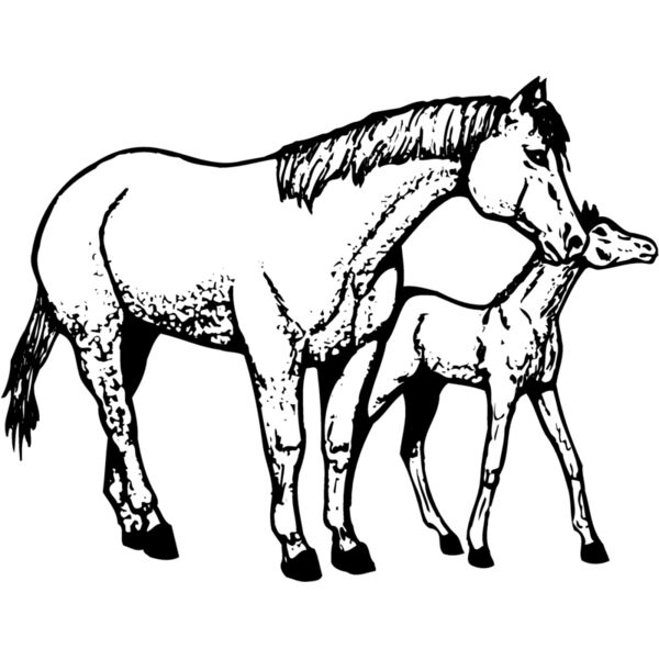 HORSE039 Thumbnail